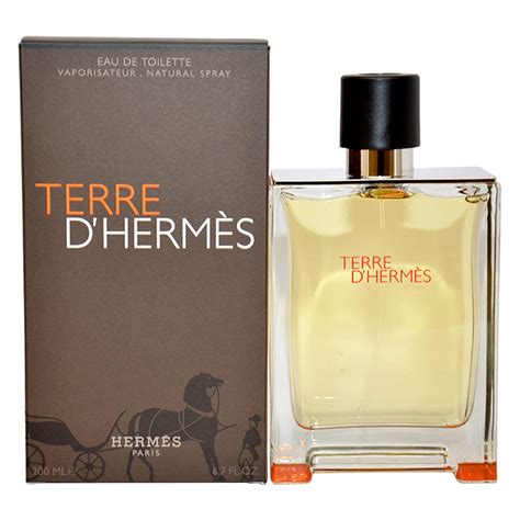 terre d hermes parfum notes|terre d'hermes pure perfume review.